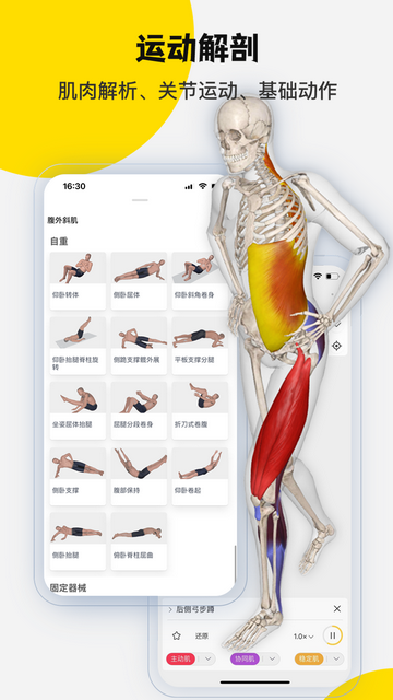 3Dbody解剖