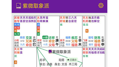 紫微取象派官方版下载