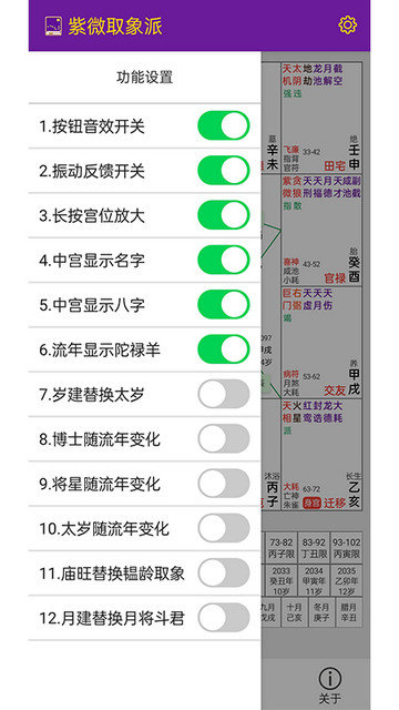 紫微取象派